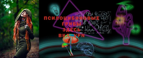 прущий лед Алексеевка