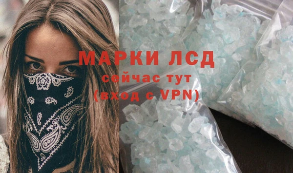 хмурый Алзамай