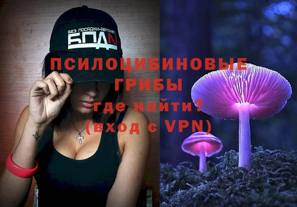хмурый Алзамай