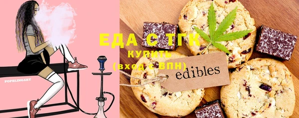 хмурый Алзамай
