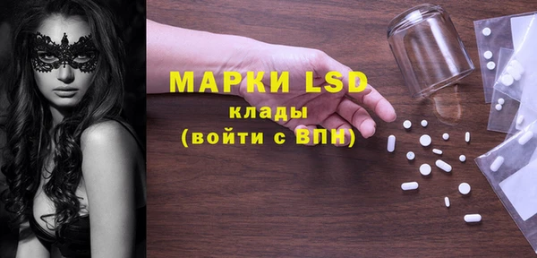 хмурый Алзамай
