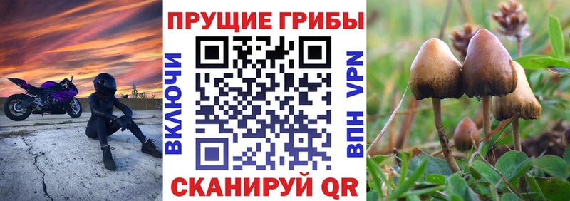 Галлюциногенные грибы Cubensis  наркошоп  Рыбное 